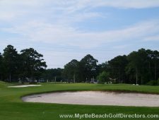 Myrtlewood-Palmetto02