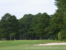 Myrtlewood-Palmetto04