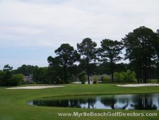 Myrtlewood-Palmetto05