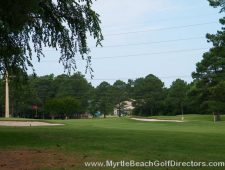 Myrtlewood-Palmetto06