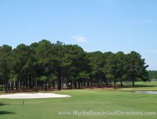 Myrtlewood-Palmetto11