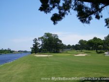 Myrtlewood-Palmetto19